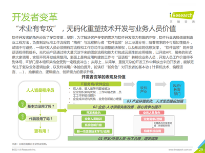 2021年中國(guó)企業(yè)級(jí)無(wú)代碼白皮書 計(jì)算機(jī)信息技術(shù)咨詢服務(wù)的新篇章
